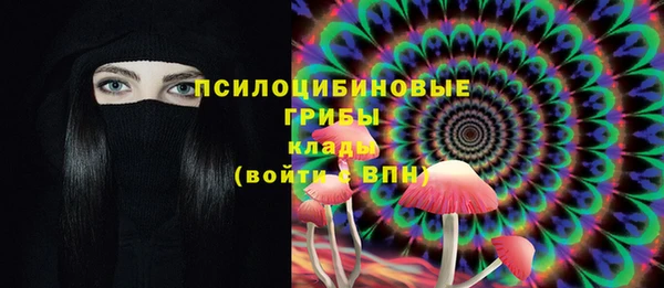 прущий лед Ладушкин