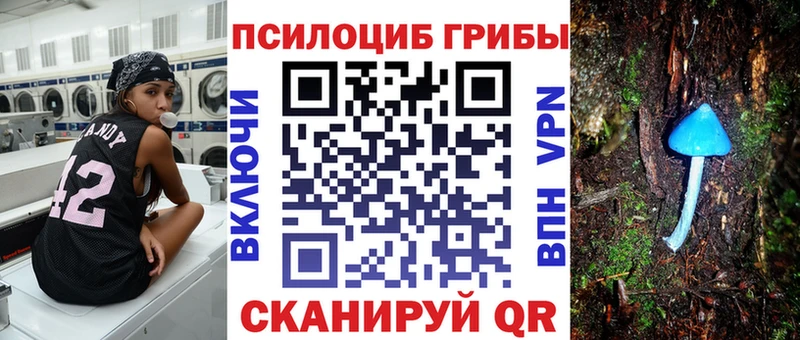мориарти телеграм  магазин    Салават  Псилоцибиновые грибы MAGIC MUSHROOMS 
