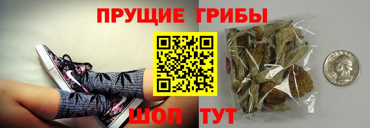 Салават  Галлюциногенные грибы MAGIC MUSHROOMS  Вход с VPN  Псилоцибиновые грибы Cubensis 